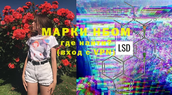 крисы Балахна