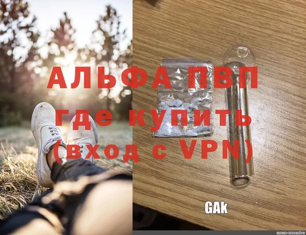 крисы Балахна