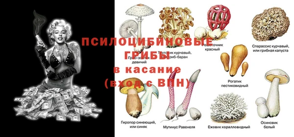 спиды Сосновоборск
