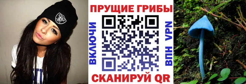 даркнет сайт  hydra зеркало  Галлюциногенные грибы Psilocybine cubensis  Давлеканово 